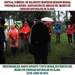 Humedal de saldropo ala