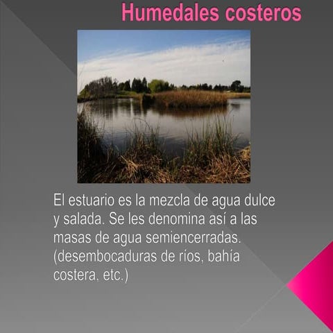 Humedales costeros | PPTX