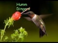 Hummingbirds