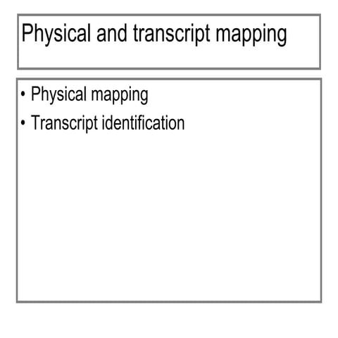 Genetic mapping.ppt