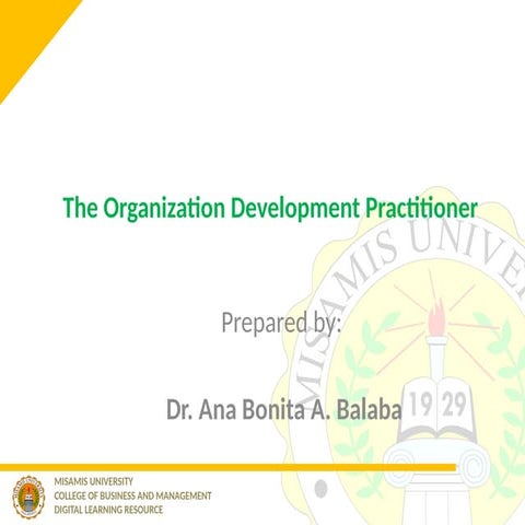 Comprehensive Guide to Organization Development Practitioners and Their ...