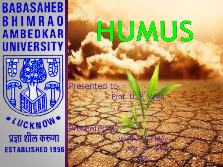 Humus ppt