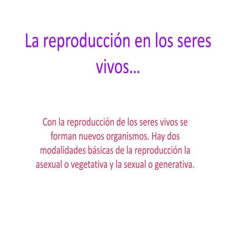 Hundewadt miranda díaz gutiérrez 1º 9 trabajo final