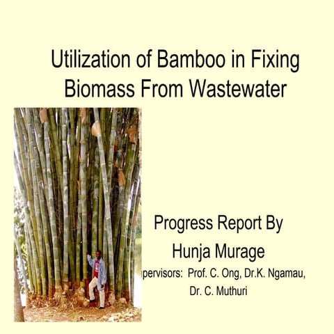 Hunja Seminar 27th October