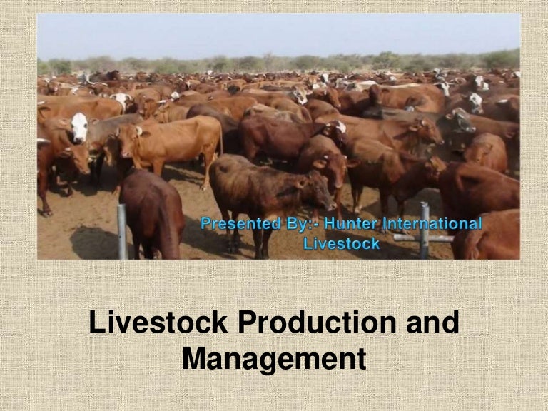 Hunter International Livestock Livestock Production and Management