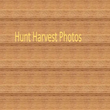 HRCA Hunt Harvest Photos