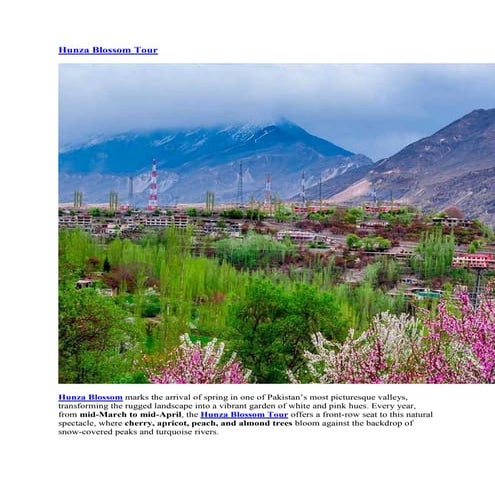 Hunza Cherry Blossom. Hunza Cherry Blossom Tour | PDF