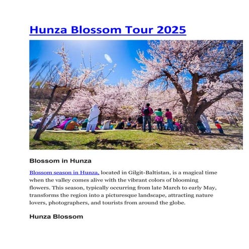  Foto zu Hunza Blossom Tour 2025.Hunzacherryblossomtour2025 