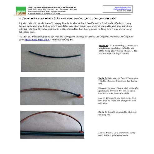 Huong dan gan dau bu ap voi ong nho giot cuon quanh goc