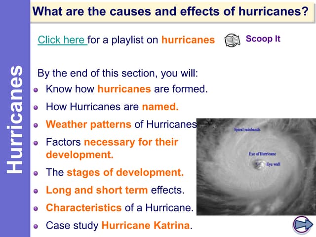 Hurricanes