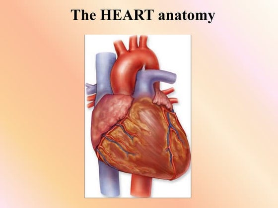 Anatomy of heart presentation | PPT