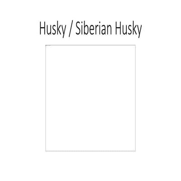 10+ Cutest Gifts for Husky Lovers