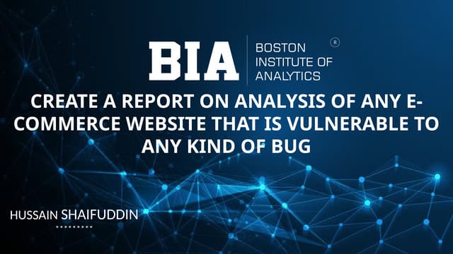 Analysis of Vulnerabilities in E-Commerce Websites: A Detailed Report