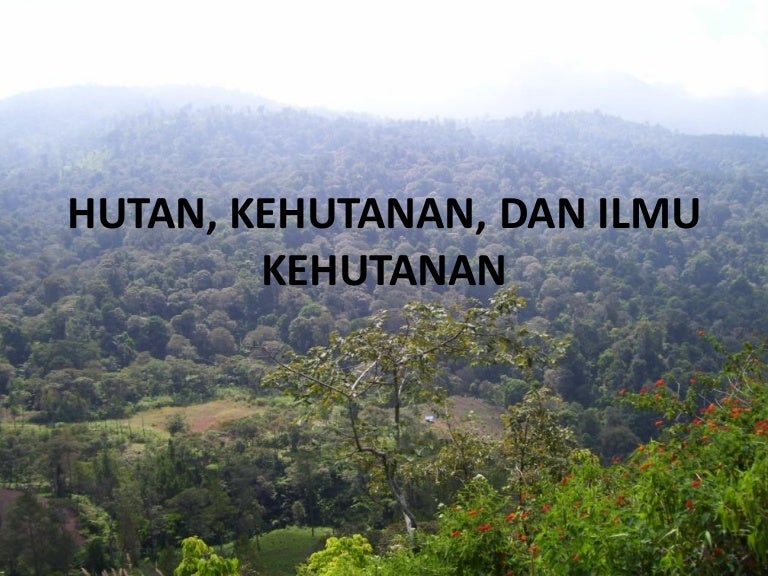 Hutan Kehutanan Dan Ilmu Kehutanan