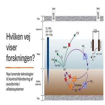 Hvilken-vej-viser-forskningen | EVAnet temadag