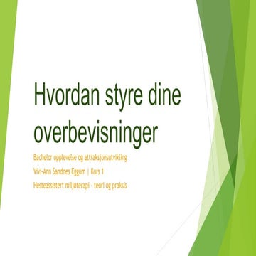 Hvordan styre dine overbevisninger