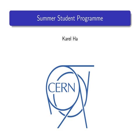 Summer Student Programme