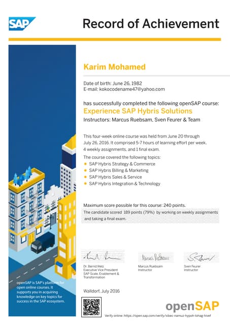 Experience SAP Hybris Solutions record of achievement 