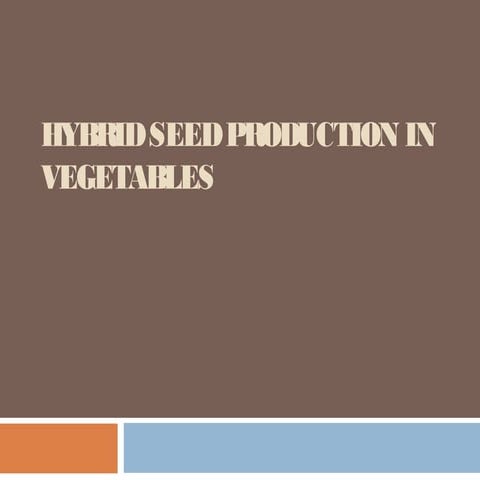 Hybrid seed-production-in-vegetables