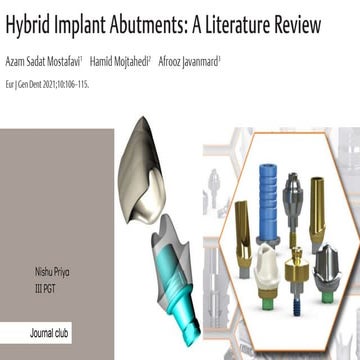 hybrid abutments.pptx