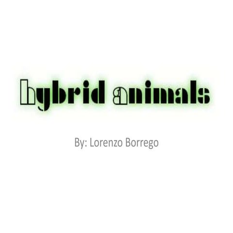 Hybrid Animals PowerPoint