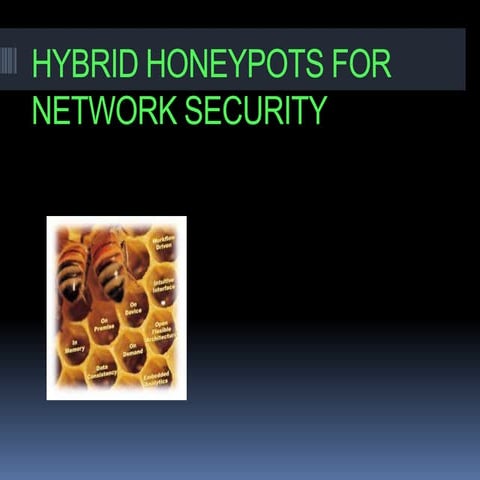 Hybrid honeypots for network security