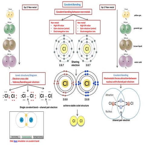 IB Chemistry on Valence Bond and Hybridization Theory
