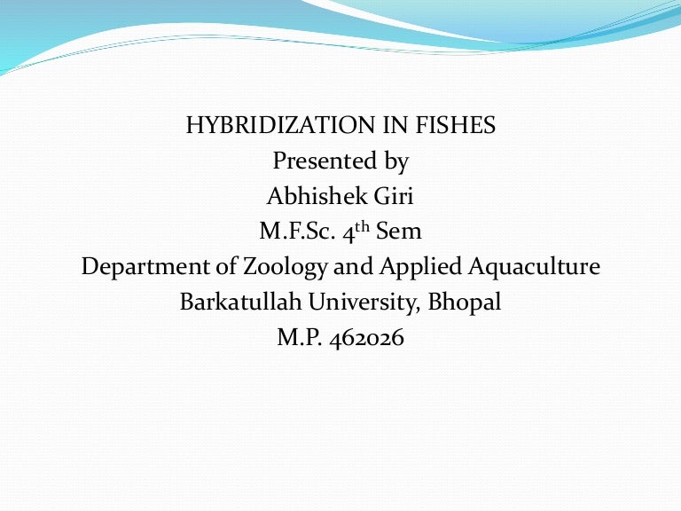 Hybridization in fishes