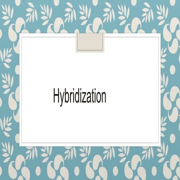 hybridization.pptx