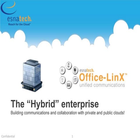 Hybrid Organization