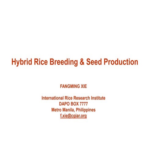 Hybrid_Rice_Breeding_Seed_Production.ppt