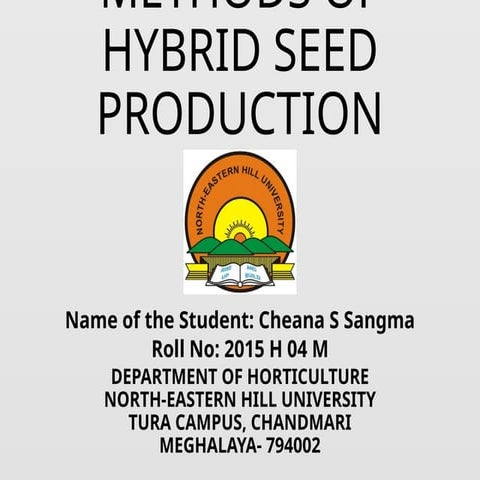 Hybrid seed production.pptxdsfdsfgsdgfdsgfdsgdsg