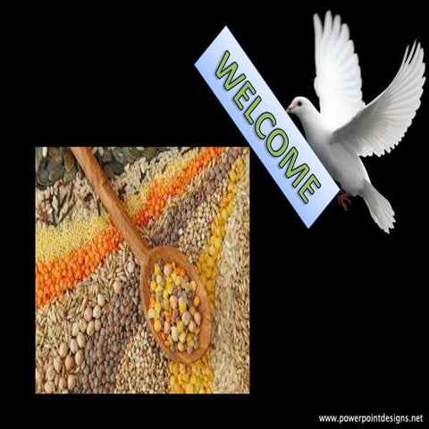 Hybrid seed production in redgram