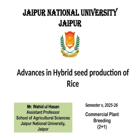 Hybrid seed production in rice.pptx rice