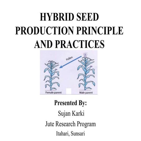 Hybrid seed production principle and practices.pptx