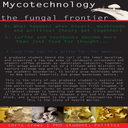 Hybrid Worlds - Exhibit Poster