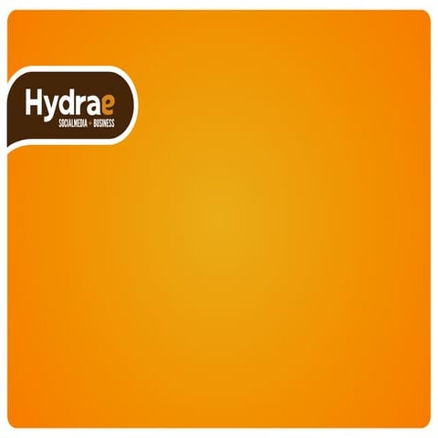 Hydrae brochure 4.6 eng