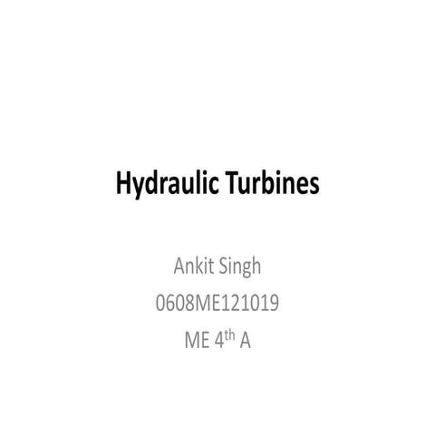 Hydraulic Turbine