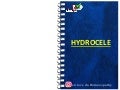 Hydrocele by Dr.K.AmrithaAnilkumar 1 hydrocele 211106145530 thumbnail 2