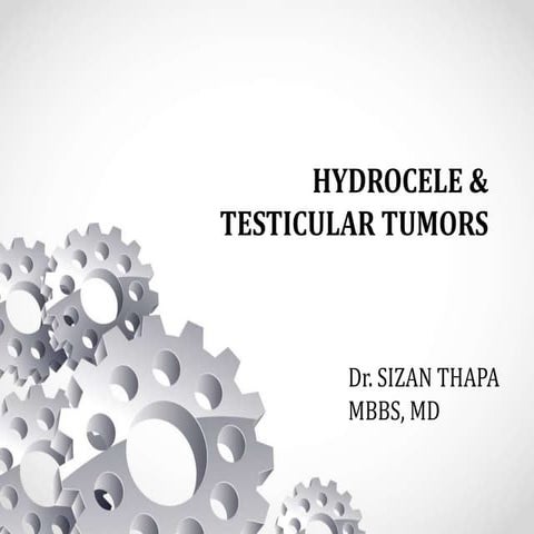 Hydrocele and tumors of testis Introduction.pptx