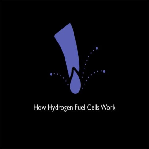 Hydrogen Fuel Cell
