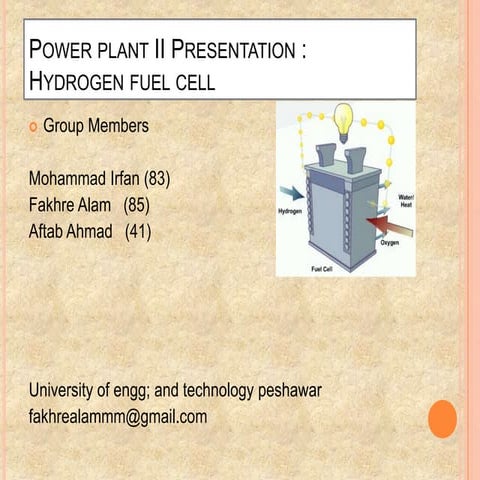 Hydrogen fuel cell