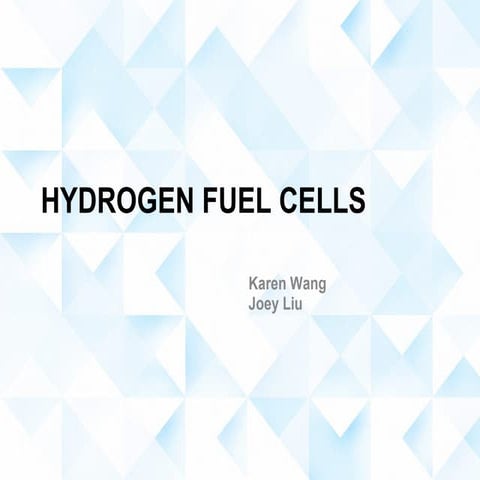 Hydrogen fuel cells