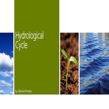 The Hydrological cycle 