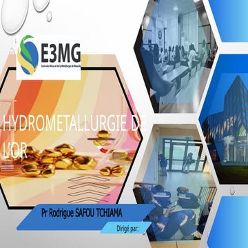 Hydrométallurgie de l'or et les aspects VF (1).pptx