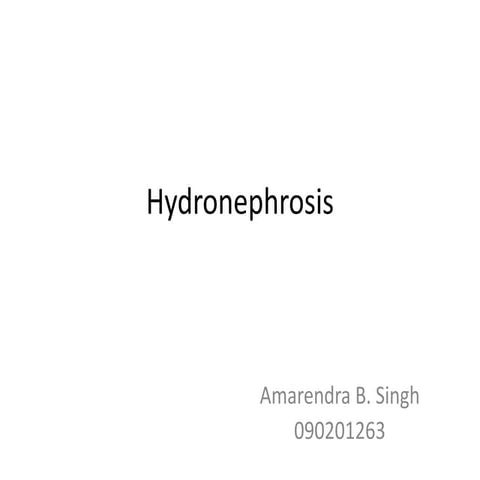 Hydronephrosis - Intro