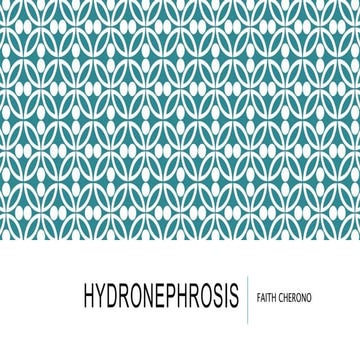 hydronephrosis.pptx