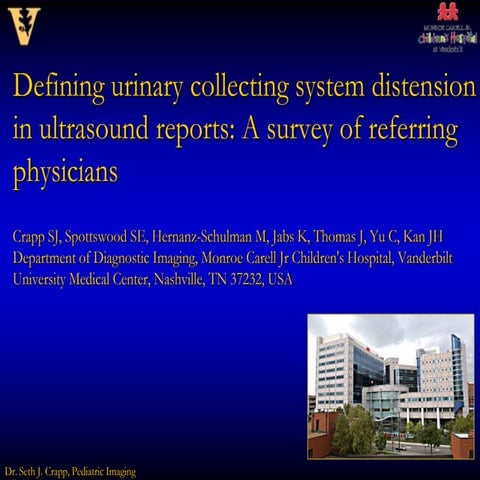 Sujok in urological disorders | PPTX