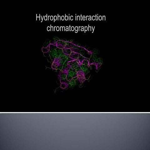Hydrophobic interaction chromatography (1)