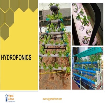 Urban Farming Kitchen Garden | PDF